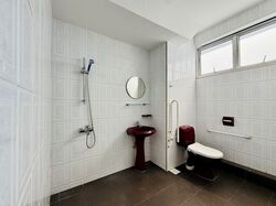 Rajah Tower (D12), Apartment #573768341